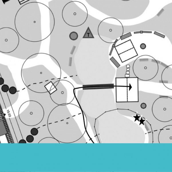 Link zum Forschungsprojekt TransMIT